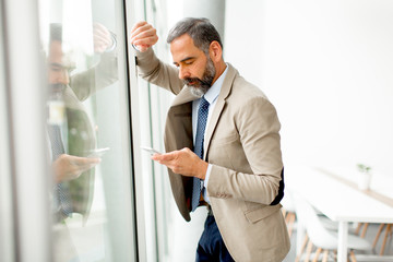 Wall Mural - Handsome mature businessman  with mobile phone