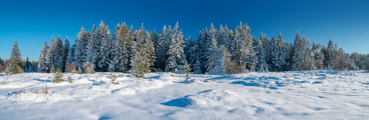 Sticker - Hohes Venn im Winter