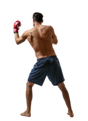 Poster - Attractive young boxer on white background