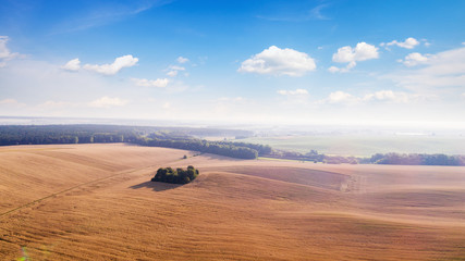 Wall Mural - Top view of the farmhouses with gardens and the road