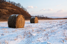 Haystack On The Field Covered By Snow.