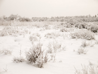 Christmas fairy tale snow scenary. Winter cloudy landscape with snow on the ground and frost on branches of the booshes.