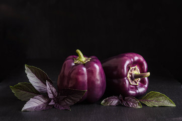 Fresh vegetable. Dark purple peppers with leaves of basil on black stone, black background