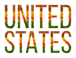 Wall Mural - word united states country is written with leaves on a white insulated background, a banner for printing, a creative developing country colored leaves united states