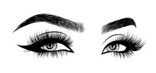 Hand-drawn Woman's Sexy Luxurious Eye With Perfectly Shaped Eyebrows And Full Lashes. Idea For Business Visit Card, Typography Vector.Perfect Salon Look.