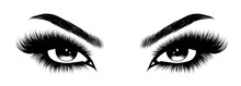 Hand-drawn Woman's Sexy Makeup Look With Perfectly Perfectly Shaped Eyebrows And Extra Full Lashes. Idea For Business Visit Card, Typography Vector.Perfect Salon Look