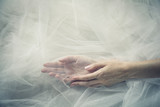 Fototapeta Konie - Sorority - A couple of female hands on a tulle background in a calm, relaxed mood