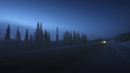 Wall Mural - Car lights in winter forest