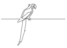 Continuous Line Drawing Of Isolated Vector Object - Parrot