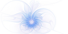 Magic Blue Flower On A Light Background