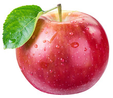 Ripe Red Apple With Water Drops.