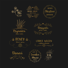 Wall Mural - vector set of handdrawn floral logos.