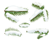 Different Christmas Tree Branches Witj Snow Caps. Christmas Elements Tree Clipart
