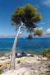 Leinwanddruck Bild - Littoral occidental de la Corse