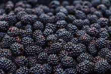 Fresh Blackberries At Market, Closeup
