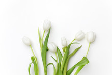 White Tulips On White Background. Top View