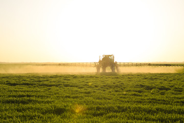 Tractor with high wheels is making fertilizer on young wheat. The use of finely dispersed spray chemicals. Tractor on the sunset background.