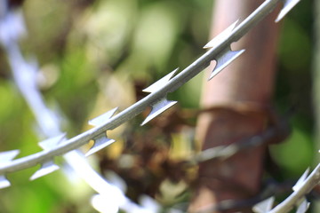 Forged iron fence close-up