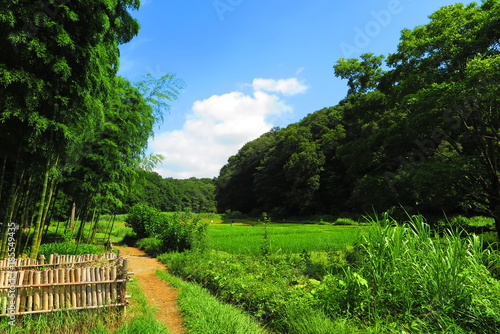 山の公園と田んぼの田舎の風景4 Buy This Stock Photo And Explore Similar Images At Adobe Stock Adobe Stock