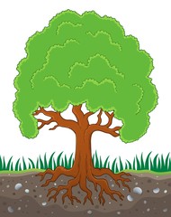 Wall Mural - Tree with roots theme image 3