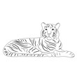 isolated sketch of a tiger lies