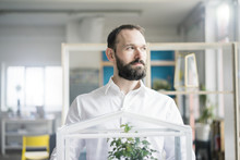 Businessman With Bonsai Tree In Office