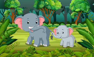 Poster - Elephant and baby elephant in the forest