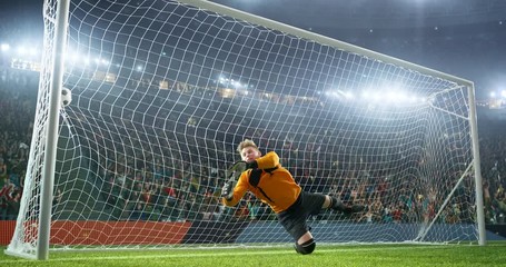 Wall Mural - Soccer player on a professional soccer stadium. Stadium and crowd is made in 3D and animated