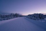 Fototapeta Na ścianę - Polar Winter