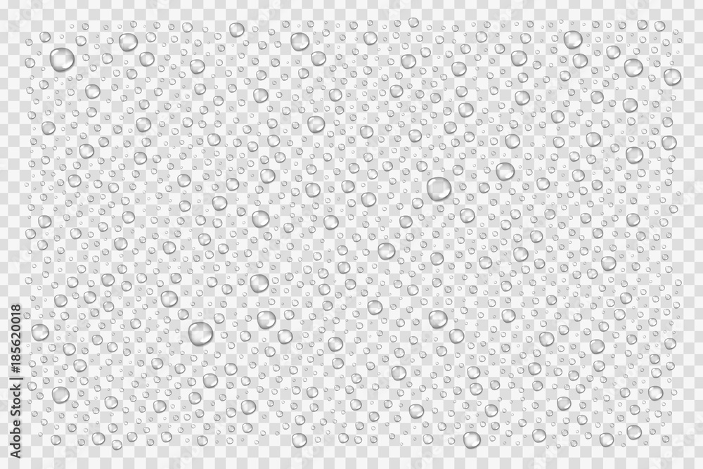 Vector realistic isolated water droplets for decoration and covering on the transparent background. - obrazy, fototapety, plakaty 