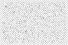 Vector Realistic Isolated Water Droplets For Decoration And Covering On The Transparent Background.