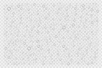 Wall Mural - Vector realistic isolated water droplets for decoration and covering on the transparent background.