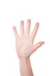 © Photodrive - Woman hand showing number five. Open palm with spread fingers isolated on white background