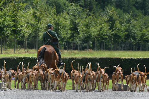 meute de chasse à courre Tableau sur Toile