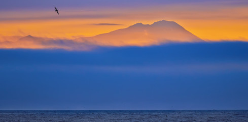 Wall Mural - silhouette of mountain and bird