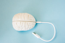 Brain With Inserted In Socket Plug Wire Or Charging Cord. Concept Technology Wired Transmission Of Data, Information, Knowledge In Brain Nervous System, Mental Or Psychic Connection Or Charging Brain