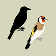 goldfinch bird  vector illustration flat style black silhouette