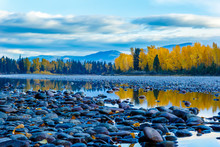 River Rocks And Color Reflection On Flathead River, Montana In Autumn With Colorful Fall Trees