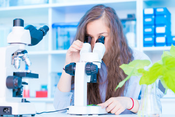 Wall Mural - schoolgirl in a class of biology is studying a green plant