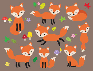 Poster - Cute fox vector illustration in various poses with leaves and flower elements.