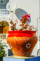Wall Mural - beautiful ceramic flower pot on a pedestal with flowers, decoration of urban space,.outdoor decoration