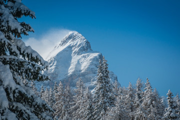 Winter view of Mount Civetta summit that appears among the fir trees covered with snow, Dolomites, Italy