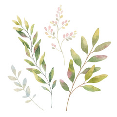 Wall Mural - Hand drawn vector watercolor set green branches.