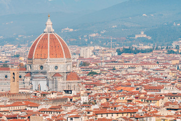 Wall Mural - panoramic view of florence city, italy