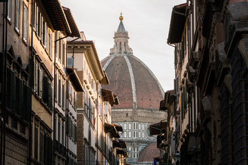 Wall Mural - santa maria fiore dome view from a street of florence