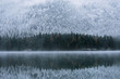© Michael Schauer - Reflection of pine trees in Lake Eibsee in winter