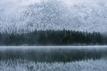 Reflection Of Pine Trees In Lake Eibsee In Winter