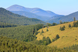 Fototapeta Na ścianę - Summer mountain view (Carpathian, Ukraine).