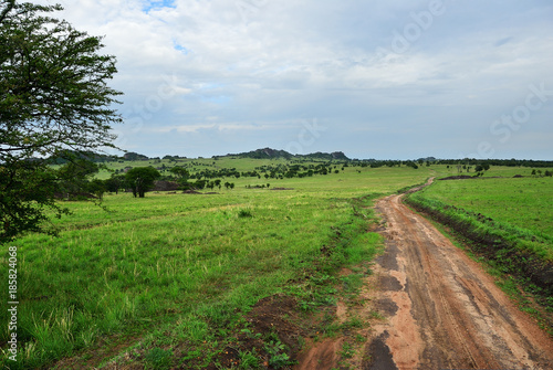 Zdjęcie XXL Droga w Serengeti, Tanzania