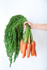 Poster - Woman holding ripe carrots on light background